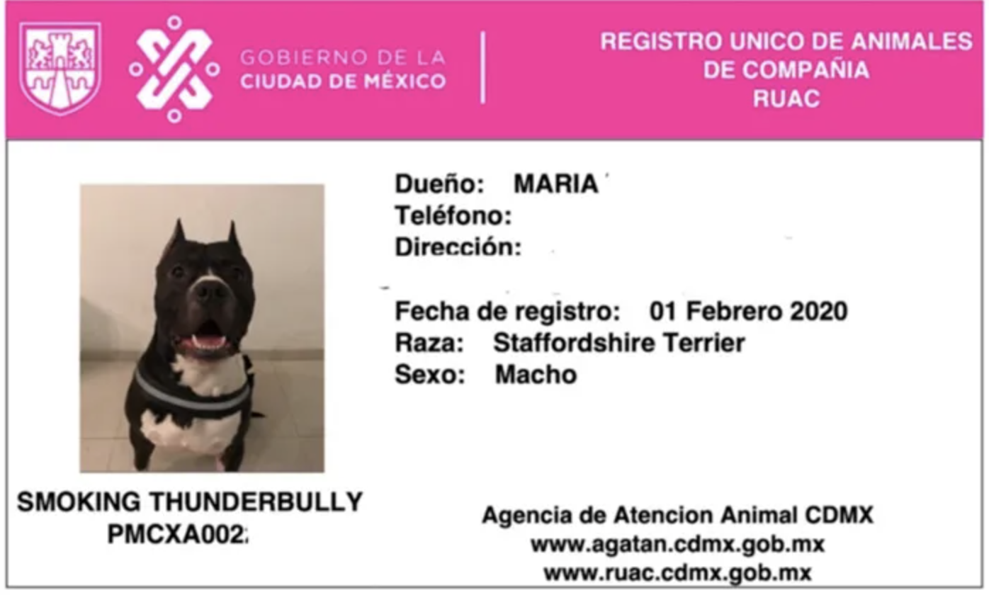 Registros de mascotas